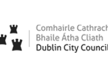 Dublin City Council logo grey