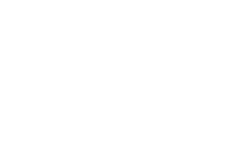 Government of Ireland white logo