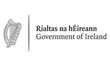 Government of Ireland logo grey